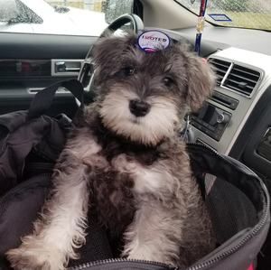 Meet your Posher, Beatriz